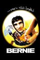 Bernie picture