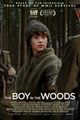 The Boy in the Woods picture