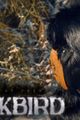 Blackbird picture