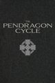 The Pendragon Cycle picture