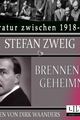 Brennendes Geheimnis, Stefan Zweig picture