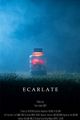 Écarlate picture