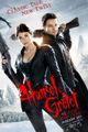 Hansel & Gretel: Witch Hunters picture