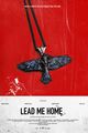 Lead Me Home picture